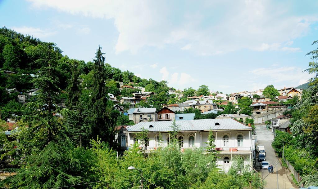Alma-Ata Hotel Borjomi Bagian luar foto