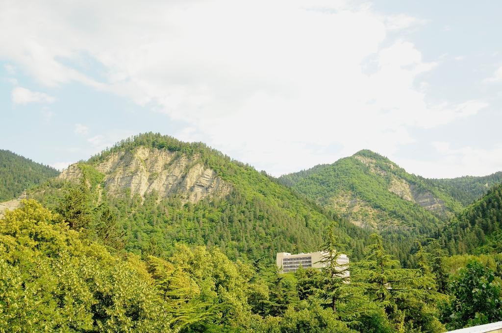 Alma-Ata Hotel Borjomi Bagian luar foto