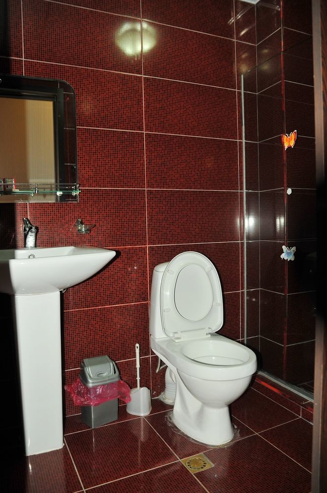 Alma-Ata Hotel Borjomi Bagian luar foto